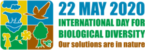 idb-2020-logo-en-web