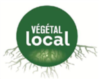 vegetal_local