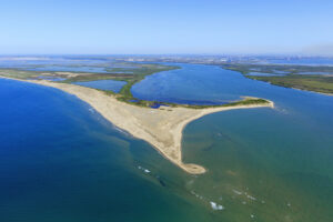 France, Bouches du Rhone (13), Parc Naturel Regional de Camargue, Arles, Salin de Giraud, embouchure du Rhone (vue aerienne)