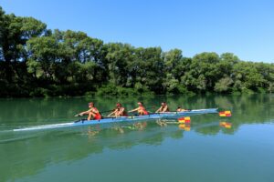 France, Gard (30), Beaucaire, avirons sur Le Rhone