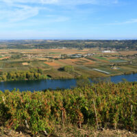 France, Ardeche (07), Andance, vignoble et Le Rhone (vue aerienne)