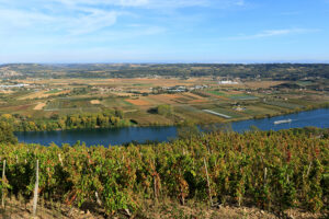 France, Ardeche (07), Andance, vignoble et Le Rhone (vue aerienne)