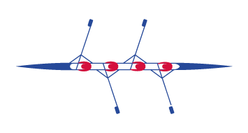 aviron_7_quatre_de_pointe_sans_barreur