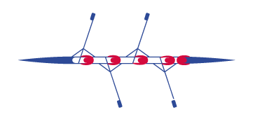 aviron_8_quatre_de_pointe_avec_barreur