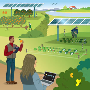 INFOGRAPHIE-AGRIVOLTAISME-AMI