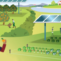 INFOGRAPHIE AGRIVOLTAISME AMI CNR