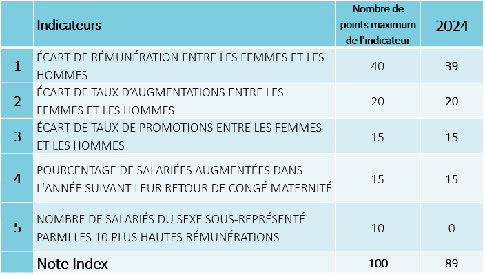 index_egalite_pro_femmes_hommes_cnr