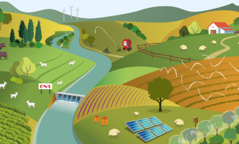 AAP_agroecologie_haut_de_page_actu