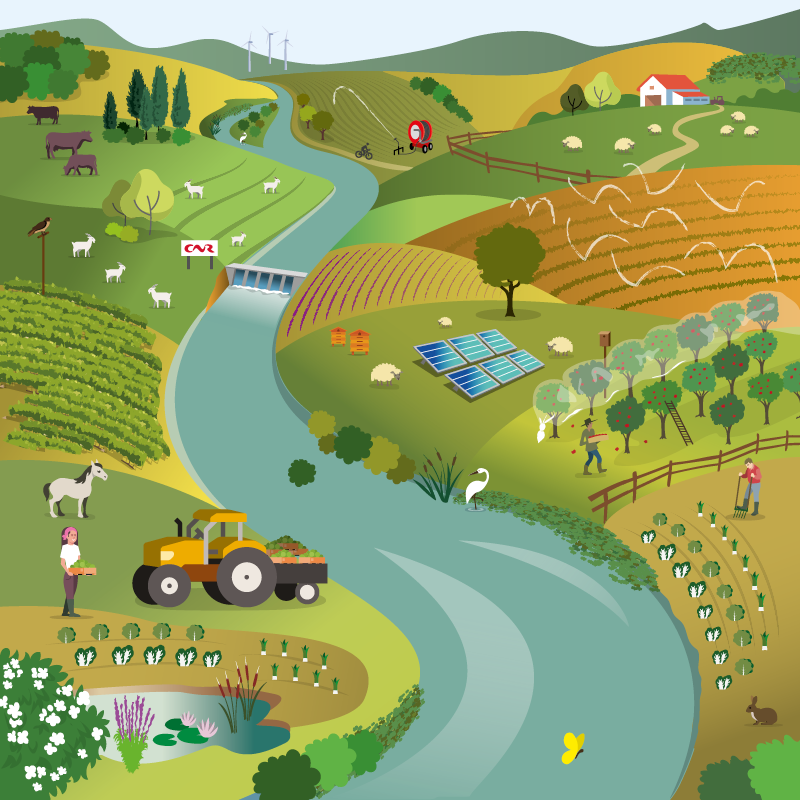 AAP_agroecologie_visuel_corps_texte_actu